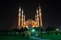 The view mosque and park at night, city background Royalty Free Stock Photo