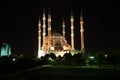 The view mosque and park at night, city background Royalty Free Stock Photo