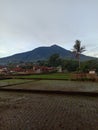 view of Mount Cikuray in the morning from Dayeuhmanggung village?