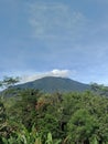 The view of Mount Cikuray is very beautiful in the morning