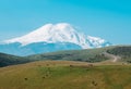 View of Mount Elbrus. Cows graze on green meadows against the background of a snow-capped peak on a sunny summer day. Natural Royalty Free Stock Photo