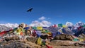 View of Mount Everest massif from Renjo La pass, Himalayas, Nepal with Buddhist prayer flags flying in the wind and a black bird.