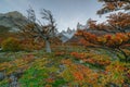 View of Mount Fitz Roy in the National Park Los Glaciares National Park during sunset. Autumn in Patagonia, the