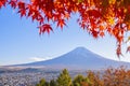 View of Mount Fuji and autumn leaves in Autumn in Fujiyoshida city Royalty Free Stock Photo