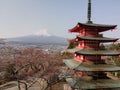 View of Mount Fuji from Chureito Pagoda, Japan