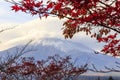 View of mount Fuji from shintoist temple at Shimoyoshida, Fujioshida