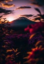 View of Mount Fuji during sunset. Leaves in the foreground. Ai generative Royalty Free Stock Photo
