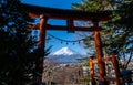 View of Mount Fuji with tree, torii, Fuji san in Japanese, Mount Fuji`s exceptionally symmetrical cone, which is snow capped for