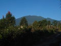 view of Mount Gede Pangrango in the morning Royalty Free Stock Photo