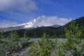 View of Mount Hood Royalty Free Stock Photo