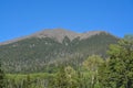 The view of Mount Humphreys and its Agassiz Peak. One of the San Francisco Peaks in the Arizona Pine Forest. Near Flagstaff, Cocon Royalty Free Stock Photo