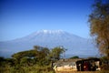 View at Mount Kilimanjaro Royalty Free Stock Photo
