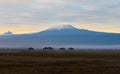 View of Mount Kilimanjaro at sunrise in Kenya, Africa Royalty Free Stock Photo