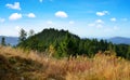 National park Bayerischer Wald, Germany.