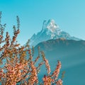 View of Mount Machapuchare from Nepali meaning Fishtail Mountain, Himalaya, Nepal.