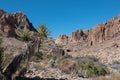 The Black Mountains, Arizona, Mount Nutt Wilderness Royalty Free Stock Photo