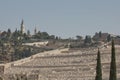 View of Mount of Olives over the old city of Jerusalem in Israel Royalty Free Stock Photo