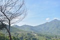 View of Mount Pangrango, West Java, in the morning from Puncak Bogor.  Sunday 14 May 2023 Royalty Free Stock Photo