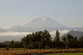 View of the Mount Rainier from valley in washington usa