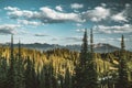 View from Mount Revelstoke across forest with blue sky and clouds. British Columbia Canada. Royalty Free Stock Photo