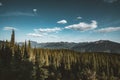 View from Mount Revelstoke across forest with blue sky and clouds. British Columbia Canada. Royalty Free Stock Photo