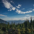 View from Mount Revelstoke across forest with blue sky and clouds. British Columbia Canada. Royalty Free Stock Photo