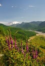A view of mount saint helens Royalty Free Stock Photo