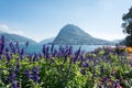 View of mount St. Salvatore and lake of Lugano from Park Ciani Royalty Free Stock Photo