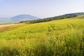 View of mount Tavor and Jezreel valley Israel