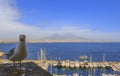 View of the Mount Vesuvius and Gulf of Naples viewed from Naples, Italy. Royalty Free Stock Photo