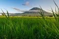 View of Mount Yotei