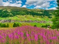 View of mountain alpine village in summer