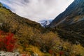 View on mountain Belukha in Altai region near board of Russia and Kazakhstan Royalty Free Stock Photo