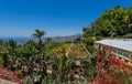View from mountain Botanical Garden Funchal Royalty Free Stock Photo