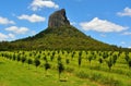 View of Mountain Coonowrin in Glass House Mountains region in Qu Royalty Free Stock Photo