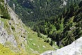 View from mountain edge down to the vertical rocks and green pine trees Royalty Free Stock Photo