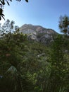 View of mountain in the forest and bush in Kabak Mugla Turkey