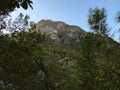 View of mountain in the forest and bush in Kabak Mugla Turkey Royalty Free Stock Photo
