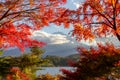 View of mountain Fuji in autumn Japon Royalty Free Stock Photo