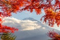 View of mountain Fuji in autumn Japon