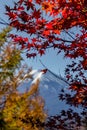 View of mountain Fuji in autumn Japon Royalty Free Stock Photo