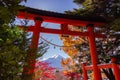 View of mountain Fuji in autumn Japon