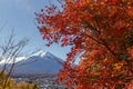 View of mountain Fuji in autumn Japon Royalty Free Stock Photo