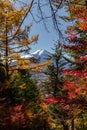 View of mountain Fuji in autumn Japon Royalty Free Stock Photo