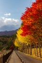 View of mountain Fuji in autumn Japon Royalty Free Stock Photo