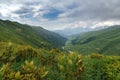 The river flows in a green valley between the mountains, Georgia, Svaneti