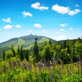 View on mountain Grosser Arber in National park Bavarian forest, Germany.