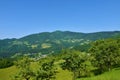 View of mountain Javor in Slovene prealps