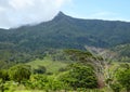 View of the mountain Le Morne