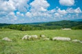 View of a Mountain Meadow in the Blue Ridge Mountains Royalty Free Stock Photo